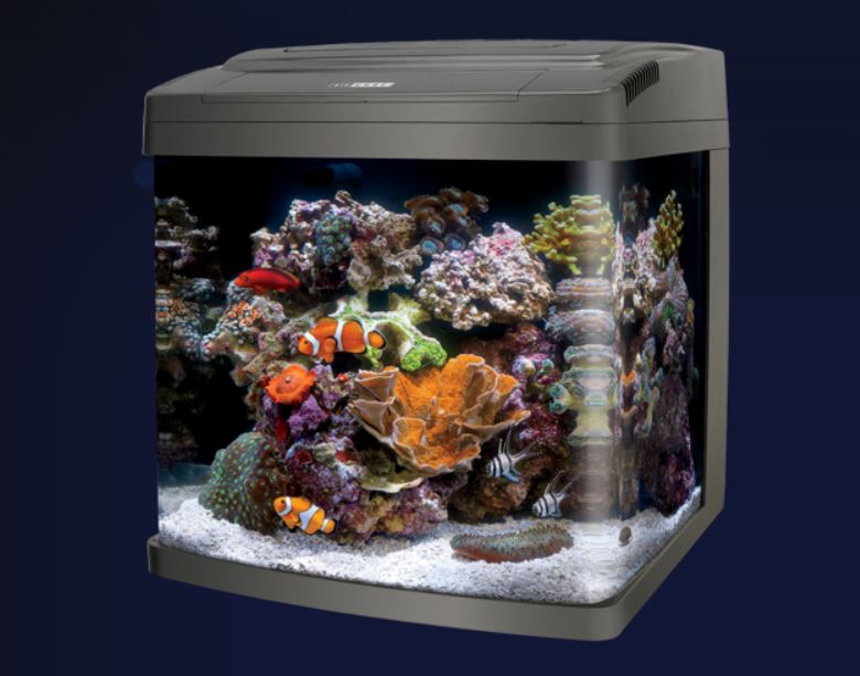 Geleerde Vast en zeker Begin 5 COOLEST Nano Fish Tanks 2023: A Range Of Sizes For Small Spaces
