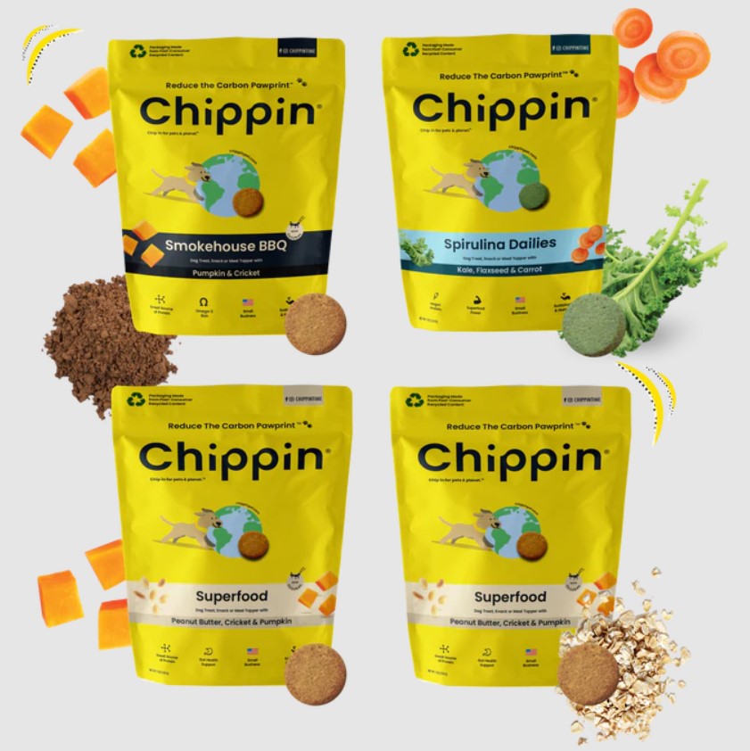 6 Signs Of Dog Food Allergies In 2024 How To Tell If Food's The Problem